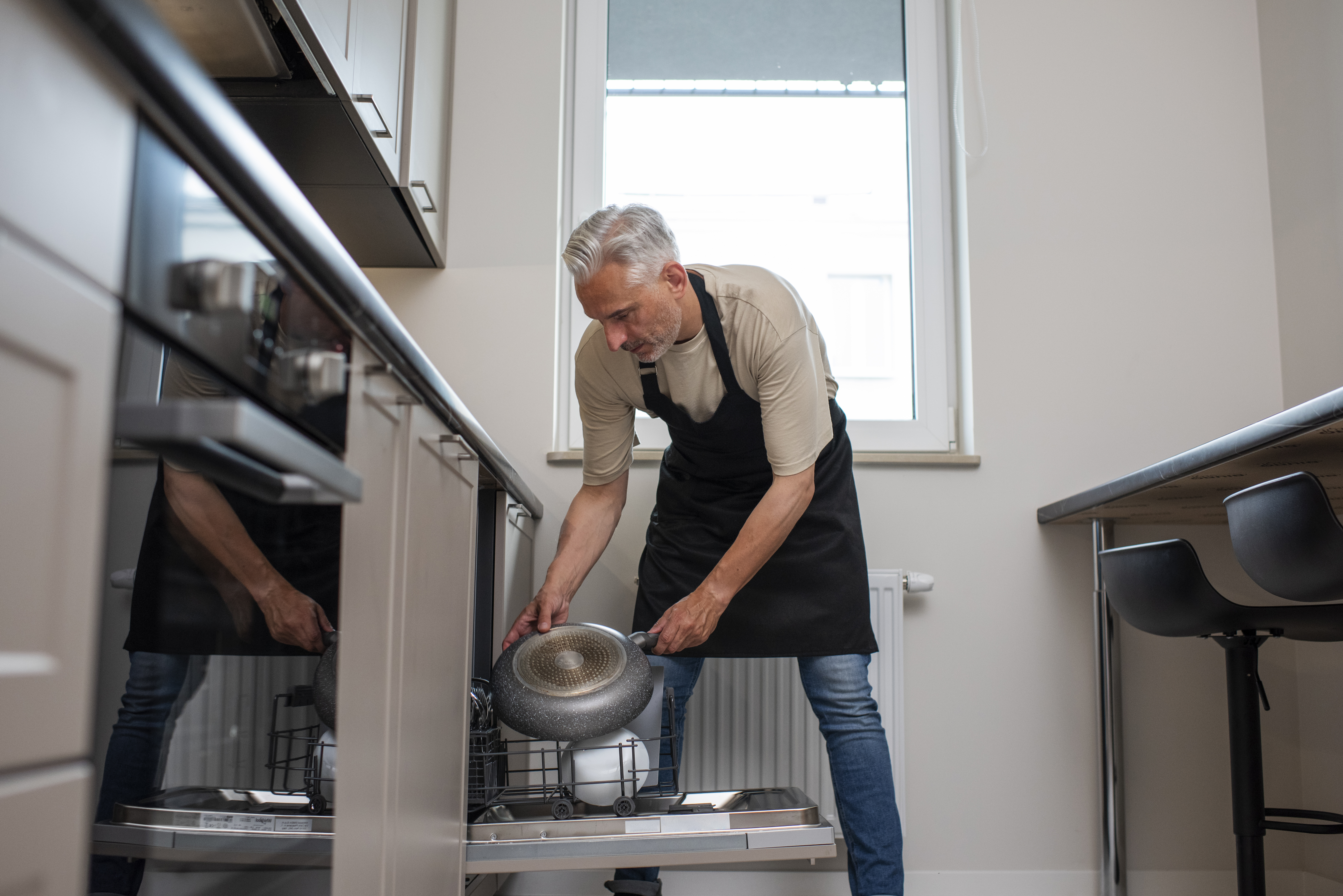 Professional Dishwasher Services